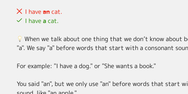 Learn with explanations